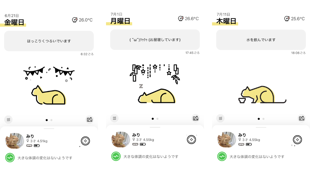 Catlogアプリを開くと猫たちの現在の行動や様子が表示されます。