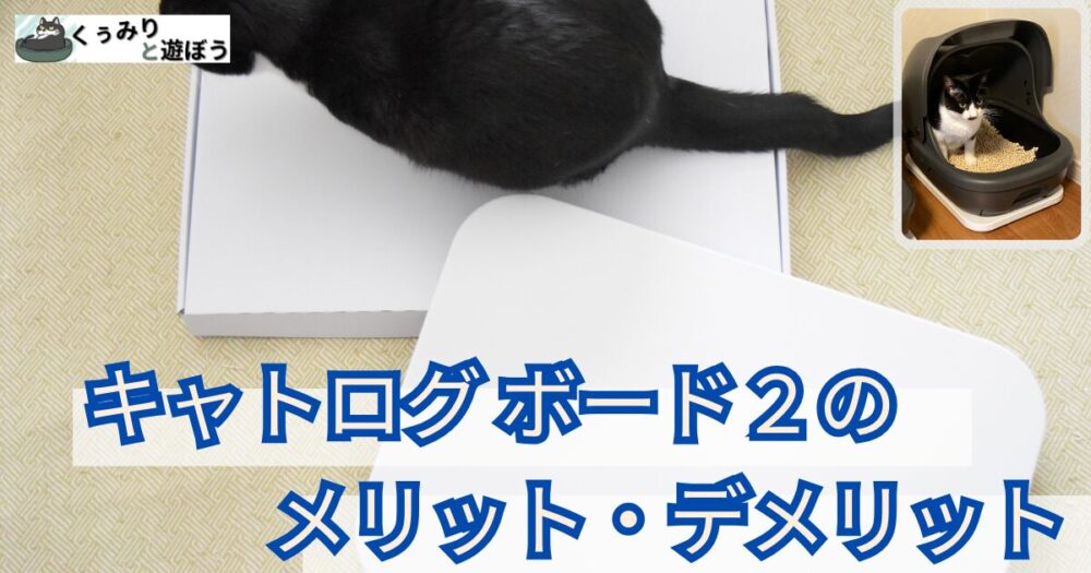 口コミも多数掲載】Catlog Board2(キャトログボード2)を1年以上使って 