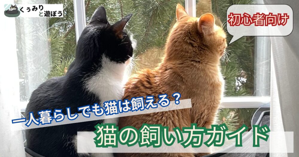 一人暮らしでも猫は飼える 猫の飼い方ガイド