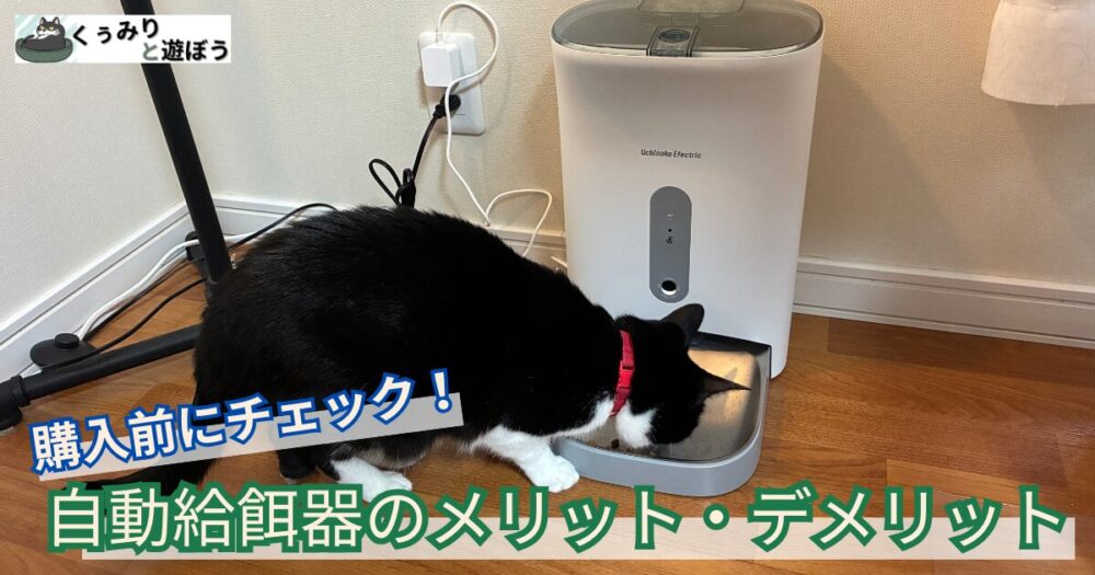 猫用　自動給餌器のメリット　デメリット