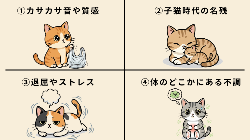 猫がビニールを舐める原因