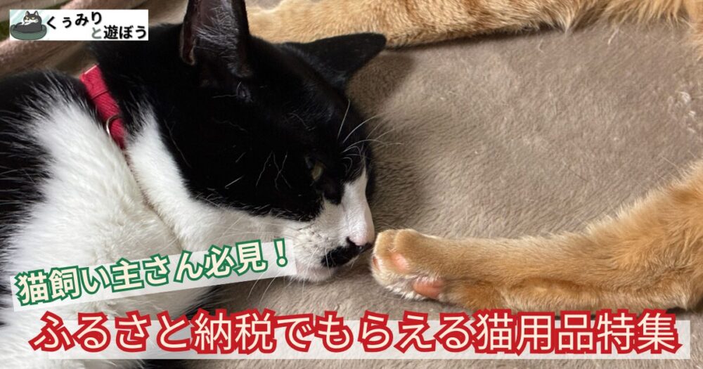 ふるさと納税でもらえる猫用品特集
