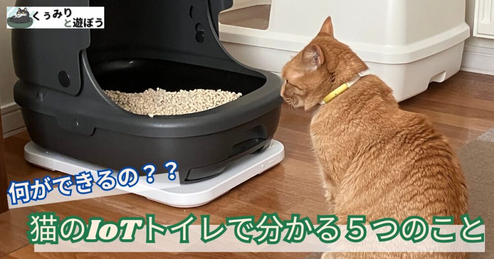 猫のIoTトイレで分かる５つのこと