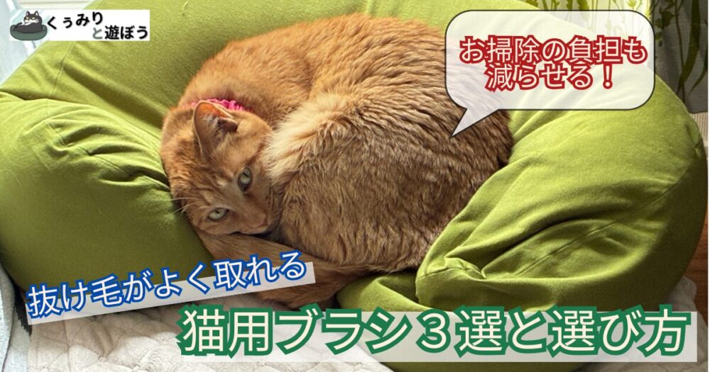 短毛の猫の抜け毛がよく取れるブラシ3選