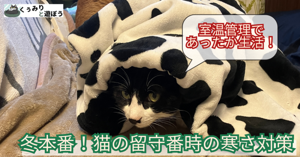 冬場の猫の留守番　寒さ対策